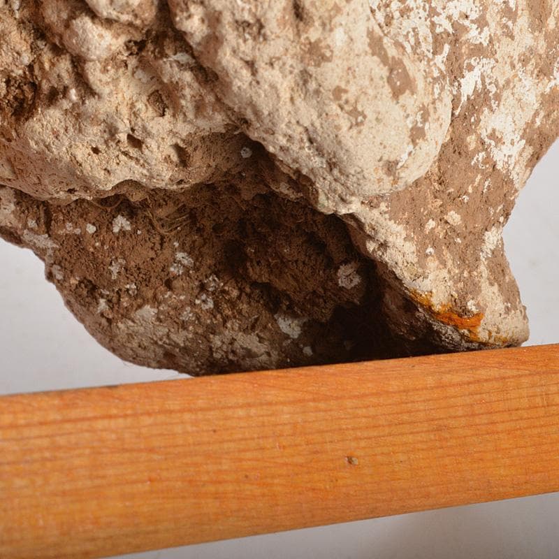 仏教美術　仏頭　石仏　置物　時代箱付　C　6384