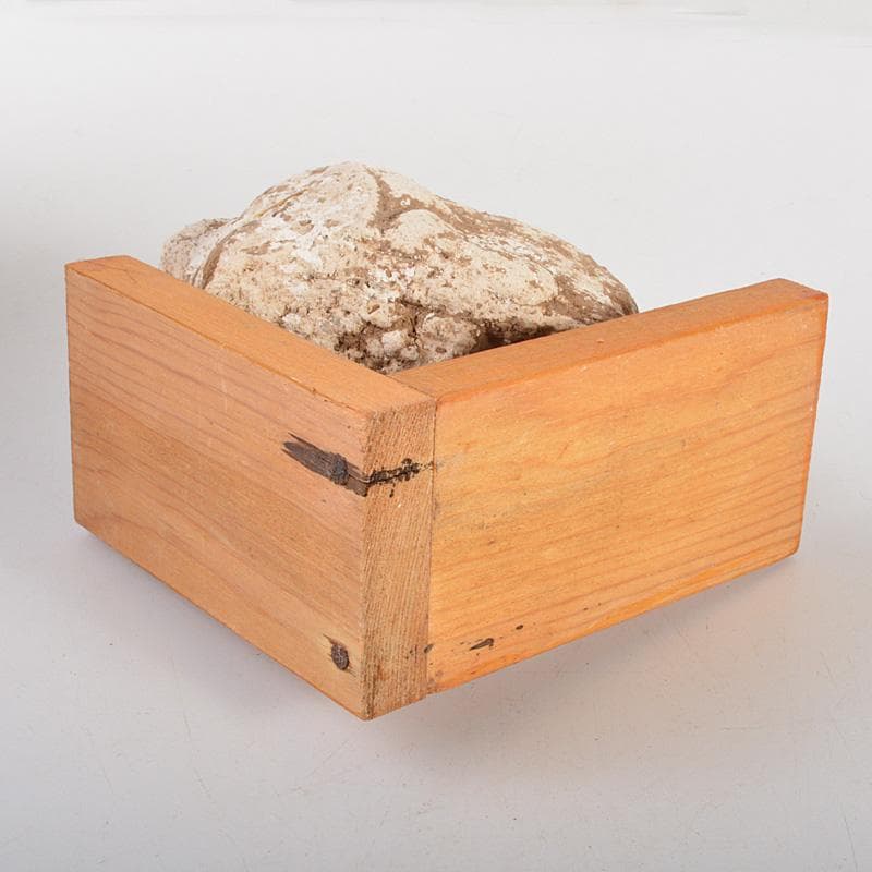 仏教美術　仏頭　石仏　置物　時代箱付　C　6384