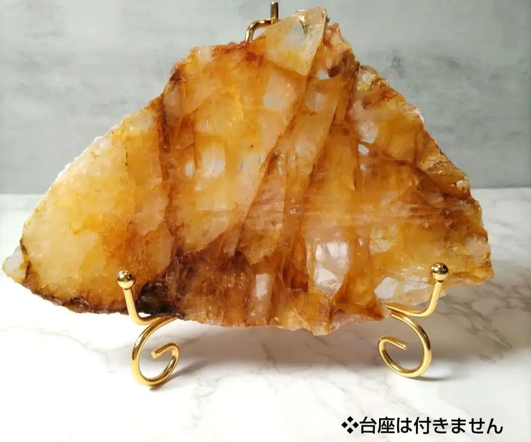 ゴールデンヒーラー　プレート　大