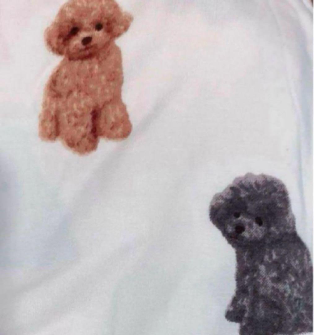新品　gelato pique トイプードル　Tシャツ&ロングパンツセット