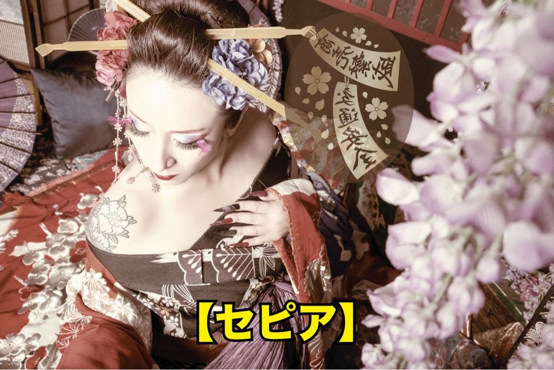 安全窓ISUZUファイブスター、ギガ『花魁』パネル★光を通すタイプあります★