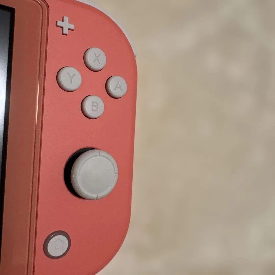 Nintendo Switch Lite コーラル ピンク　ケース付