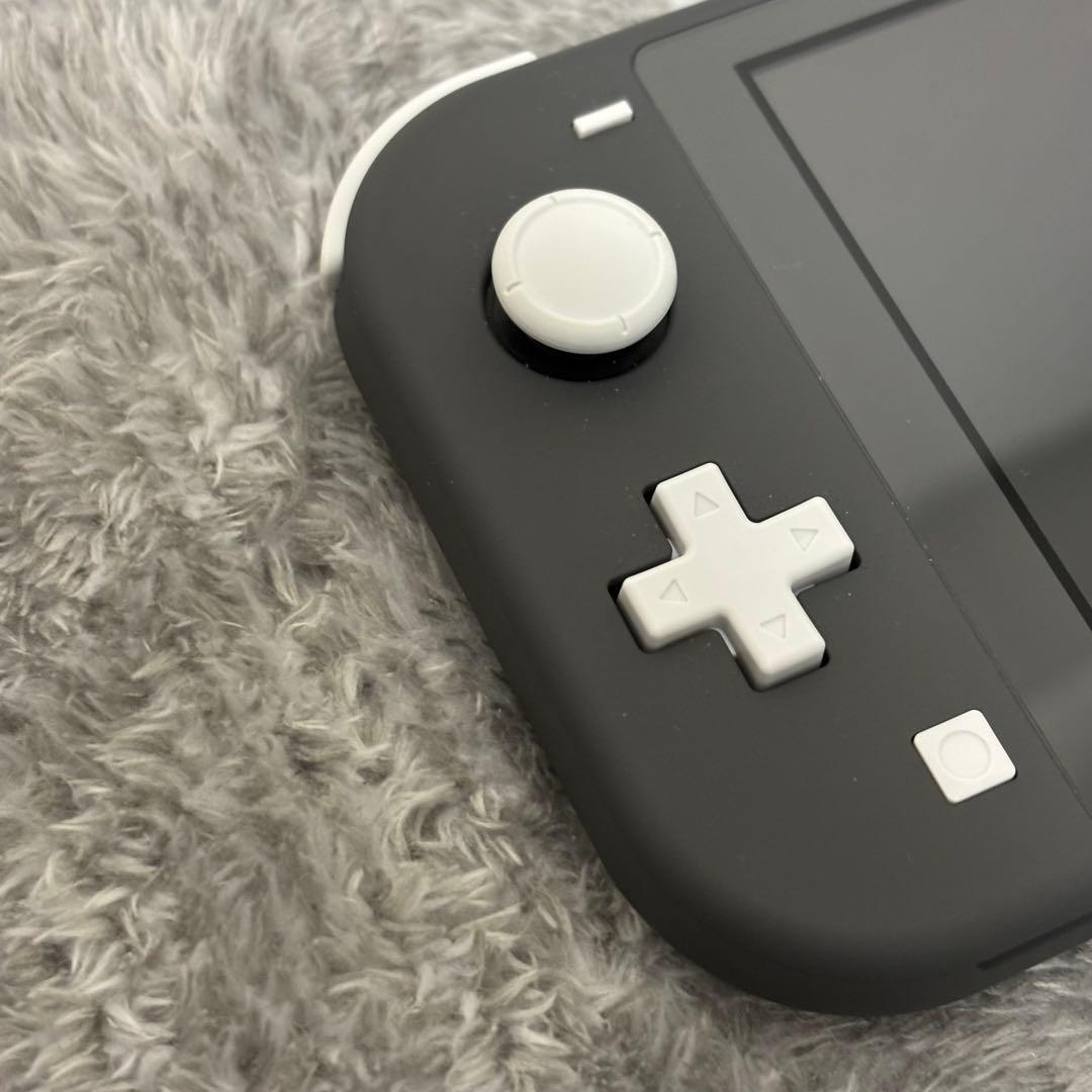 Nintendo Switch Lite グレー 本体&ケース