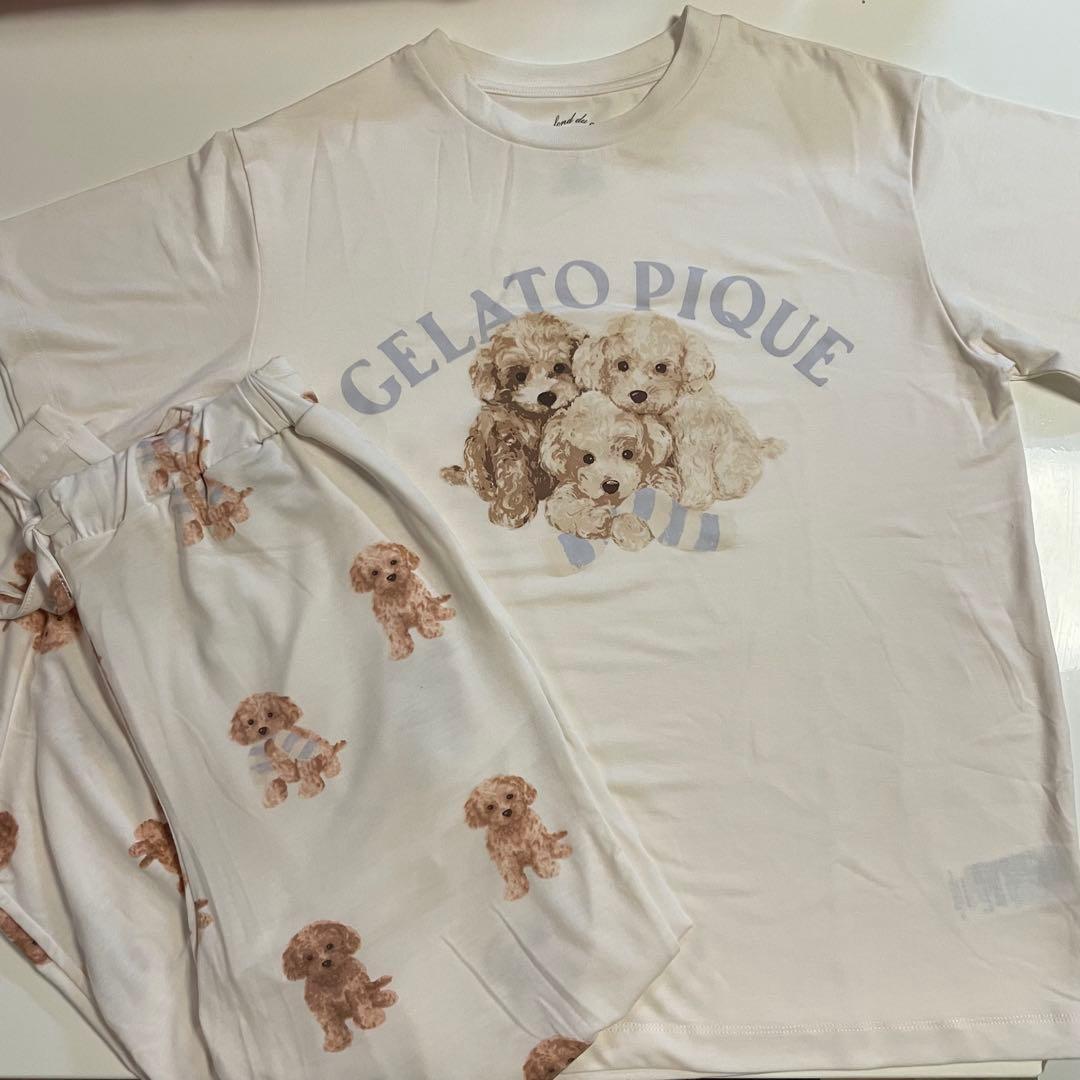 gelato pique トイプードル 上下セット