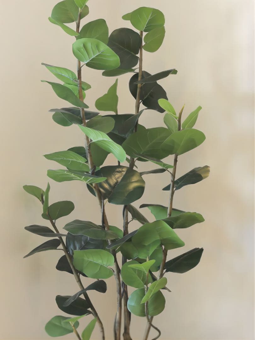 光触媒　人工観葉植物　フェイクグリーン　アーバンシーグレープ1.8