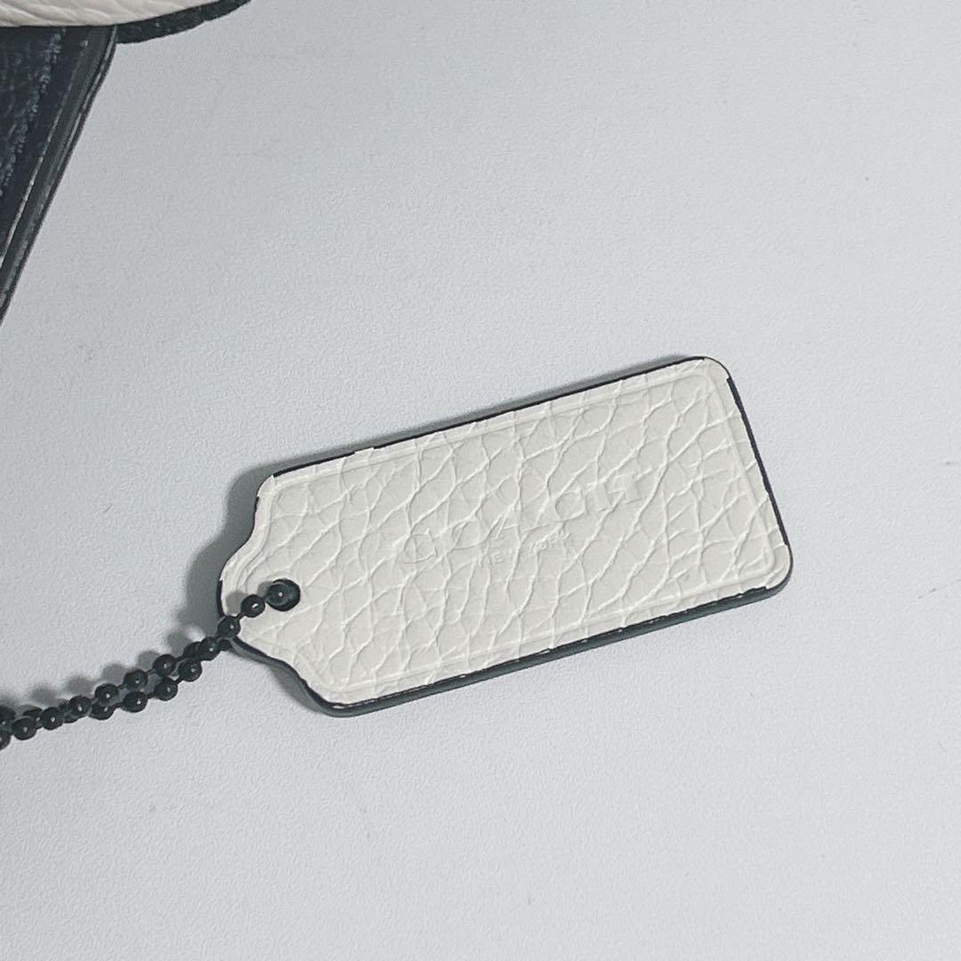 【最終値下げ】コーチ キャンバス レザー ボディ ハワイアン ボタニカル y2k