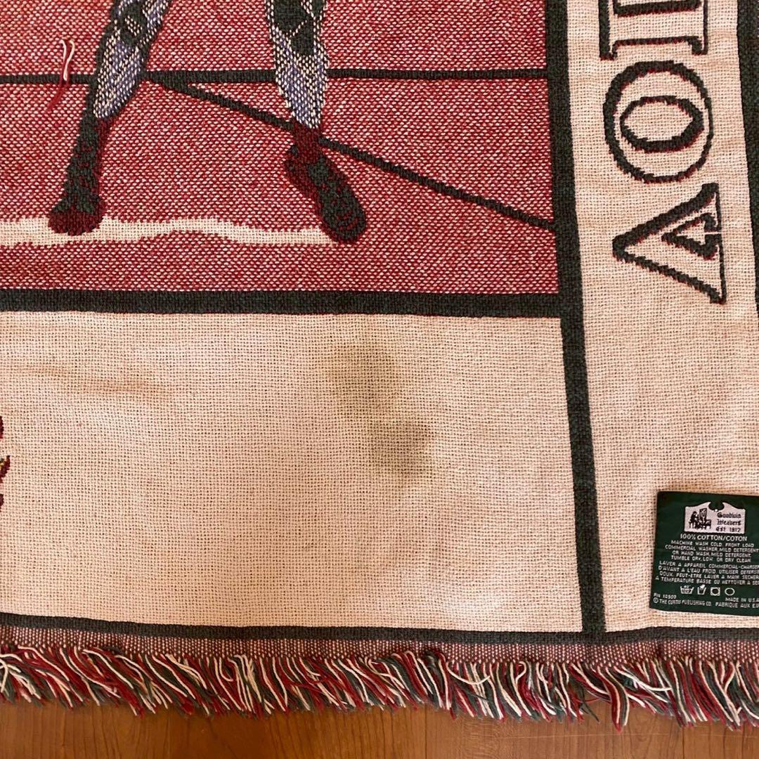 90s USA製 テニス ヴィンテージ ゴブラン織風 ラグ　コットン