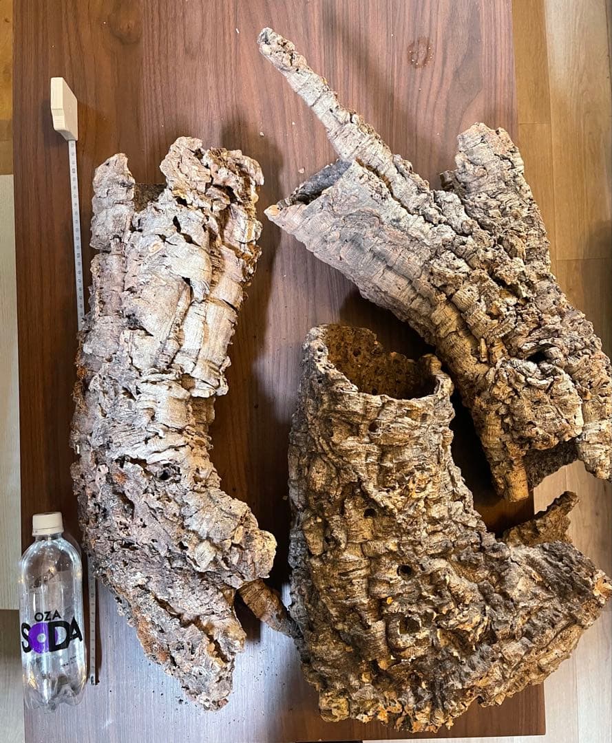 巨大コルク3点セット