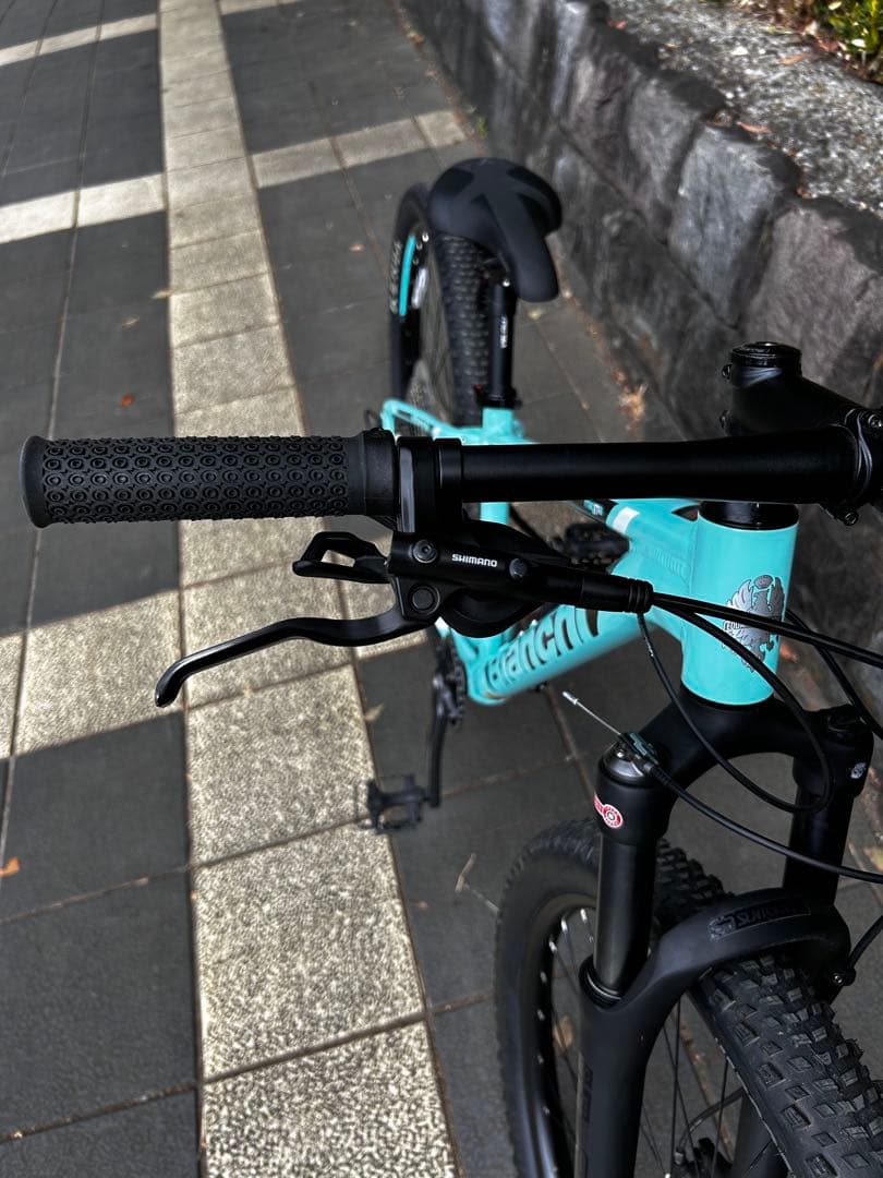 専用【美品】ビアンキ マグマ 9.1 2024年11月購入