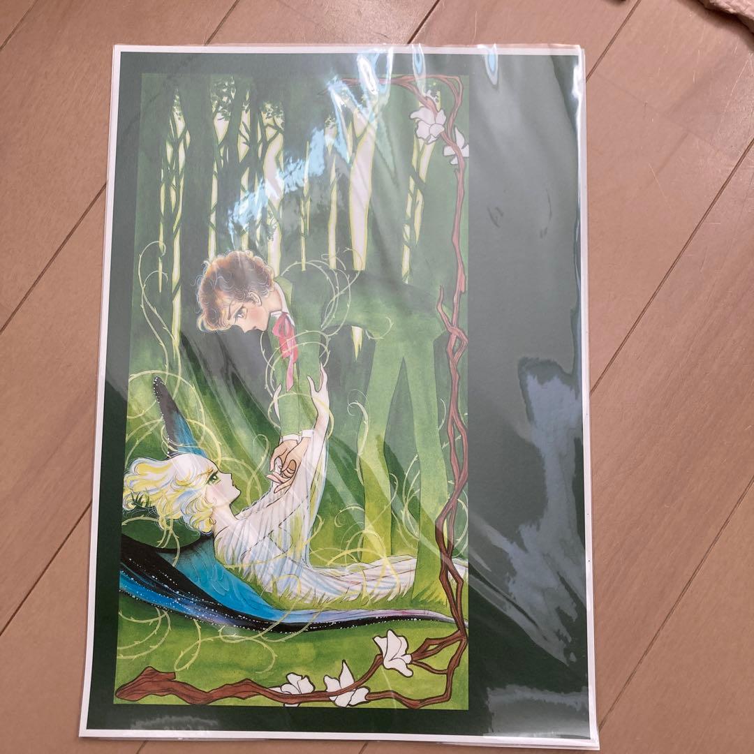 「風と木の詩」厳選複製原画集 少年の詩　 サイン入り