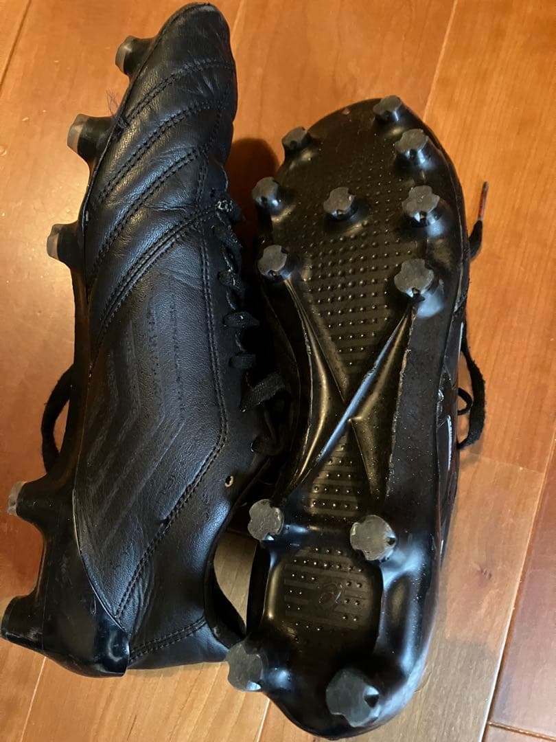 【25.0】asics DSライトx-fly4 JAPANブラック