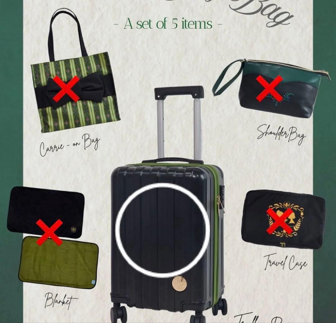 専用　アナ雪　キャリーケース　アナ