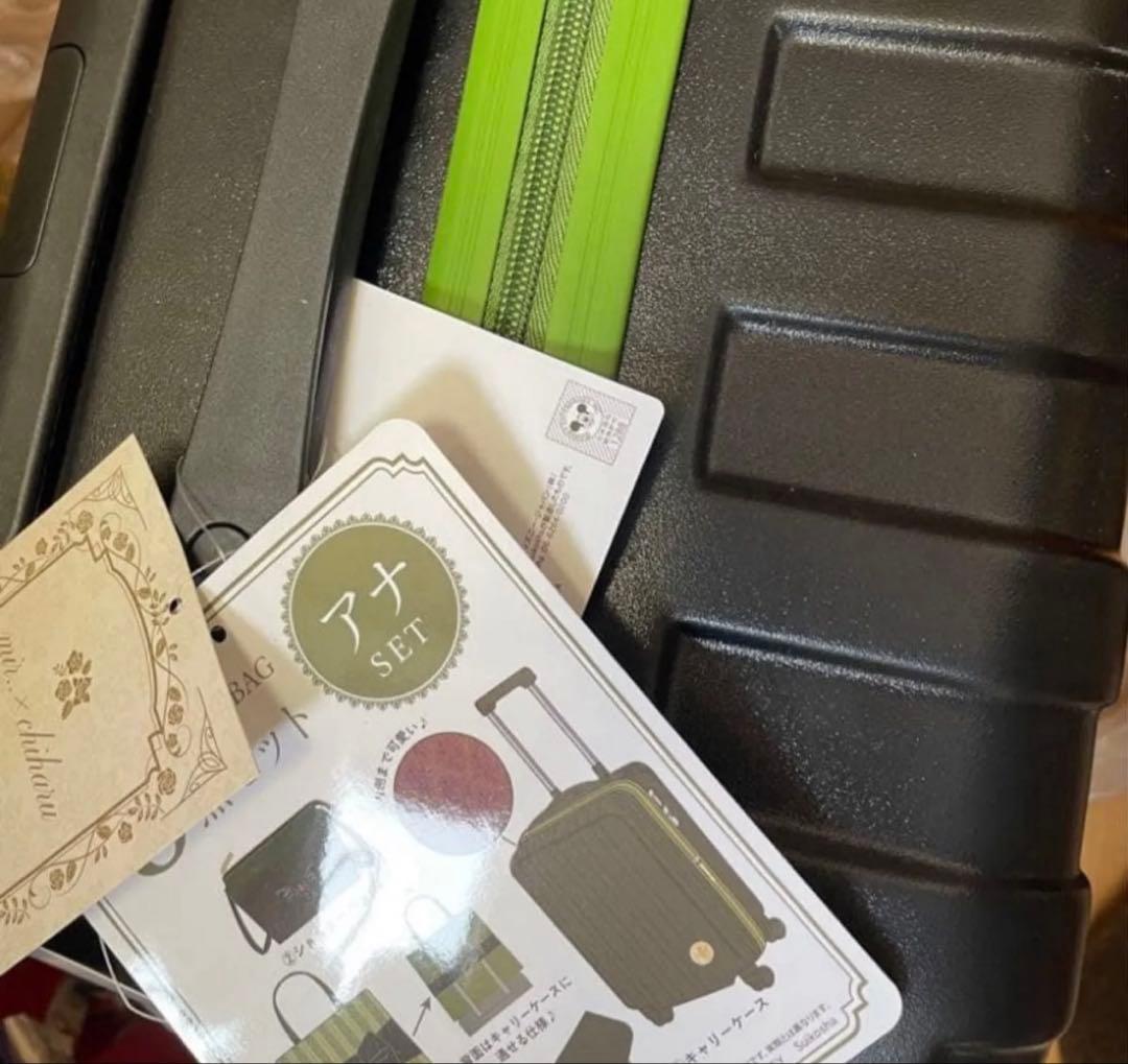 専用　アナ雪　キャリーケース　アナ