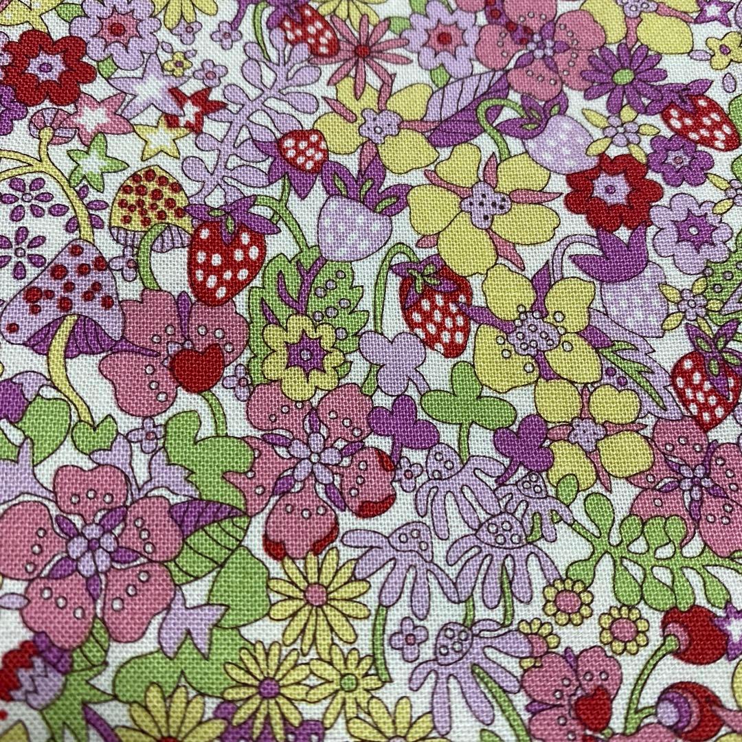 モモンガポーチ　イチゴ