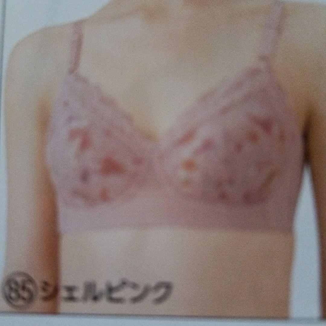 シャルレミライ ブラジャー ＦA281 D80 ブラック・シェルピンク2枚