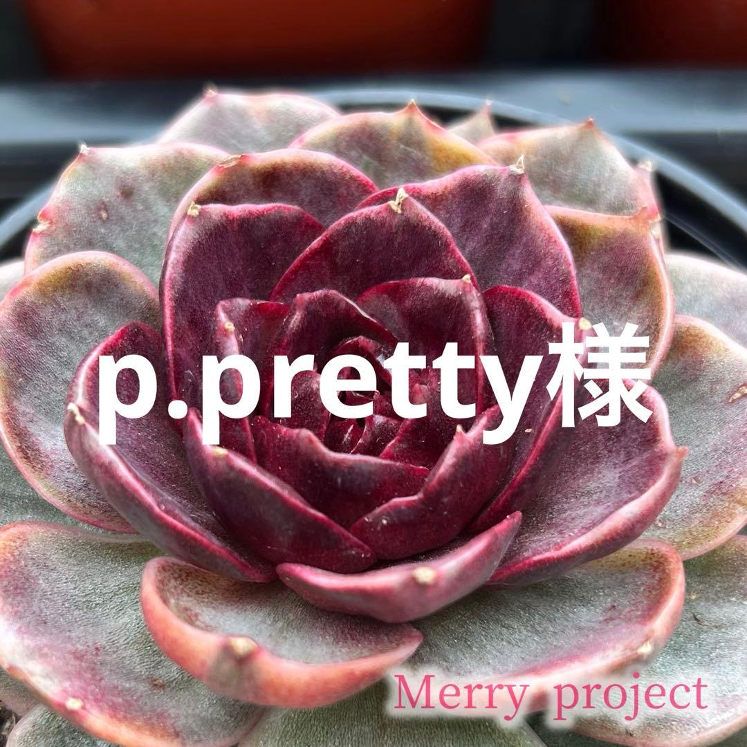 8.p.pretty様
