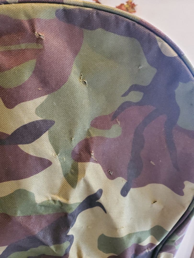 リビエラスタンドタイプキャディバッグクラブ付きセット