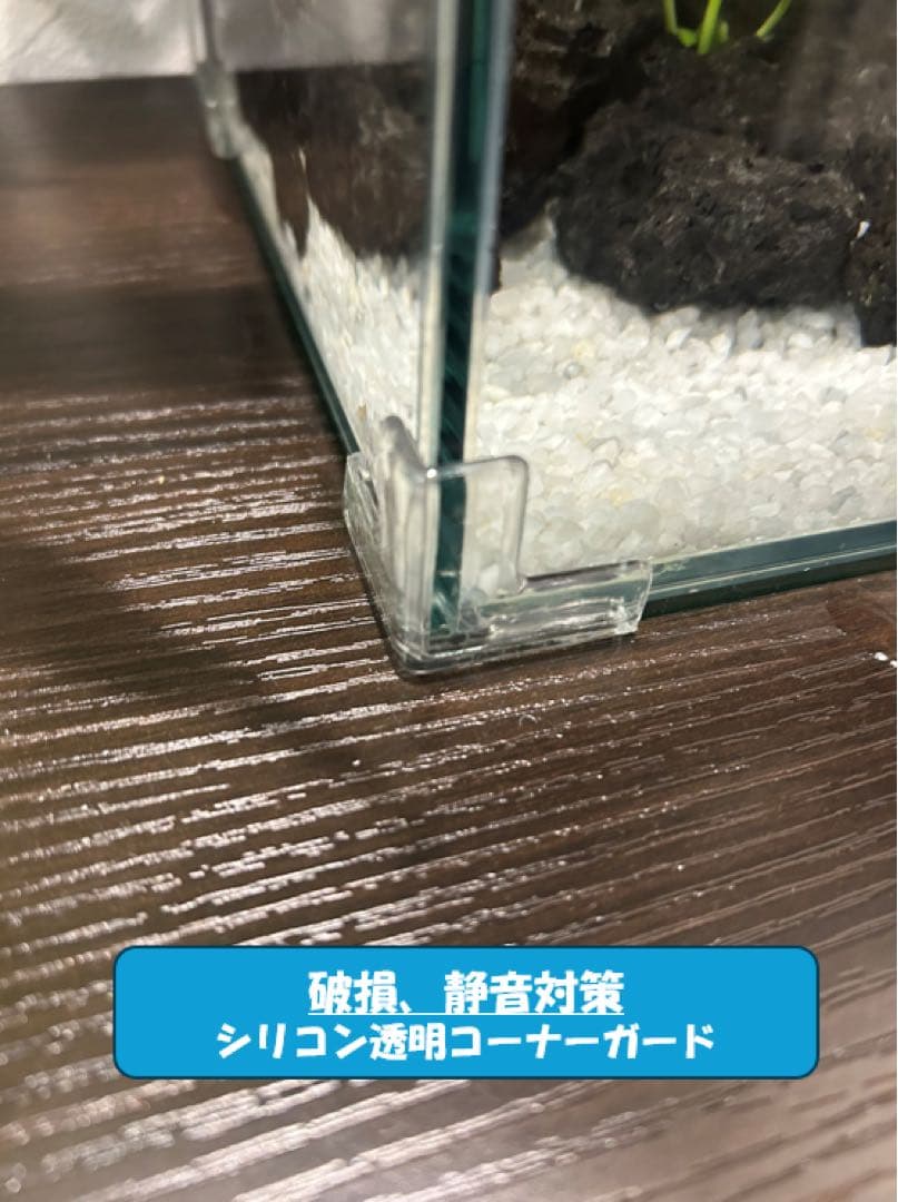 【格安】上部濾過アクアリウム水槽　アクアポニックス（観葉植物）仕様