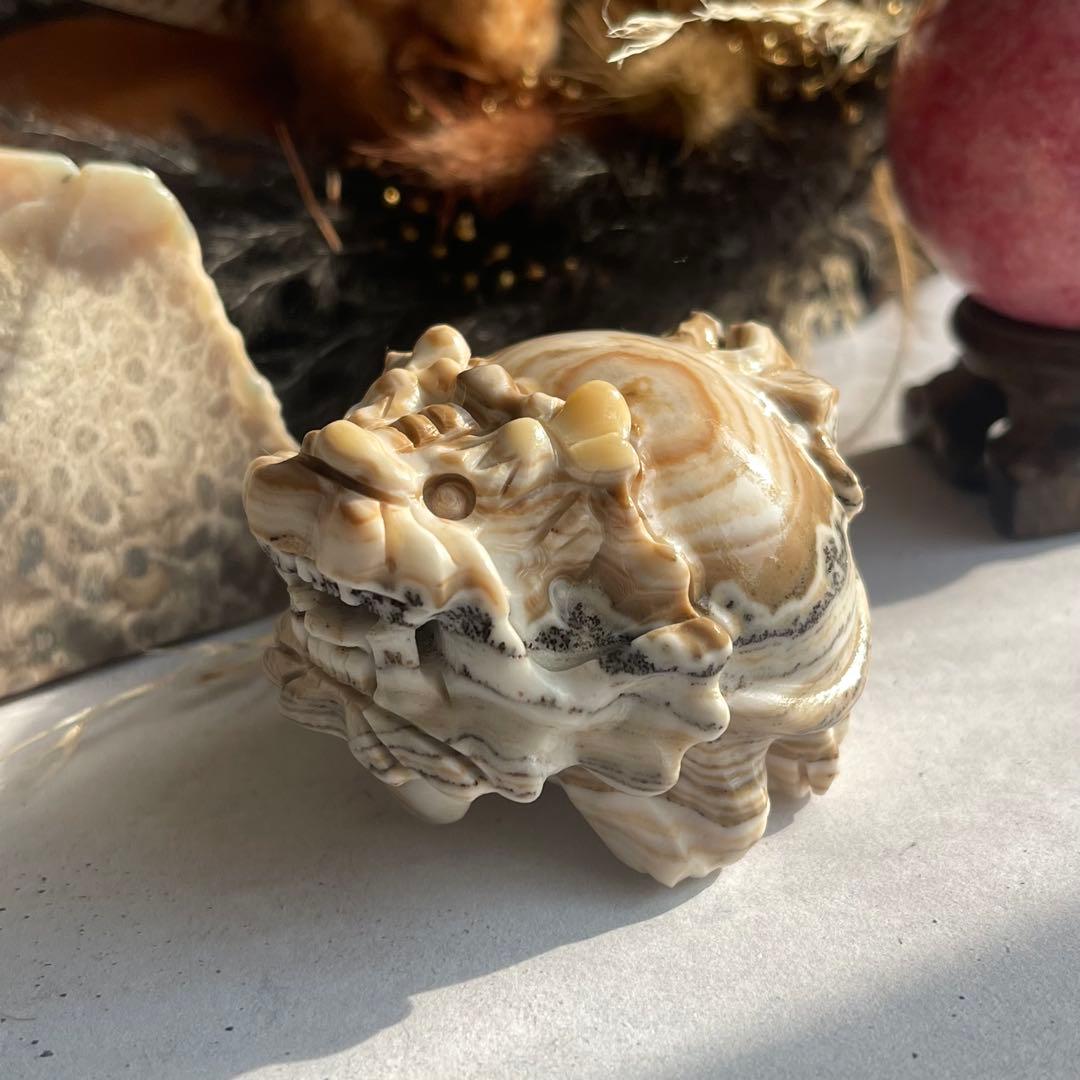 デンドリ カルサイト ロングイ 龍亀