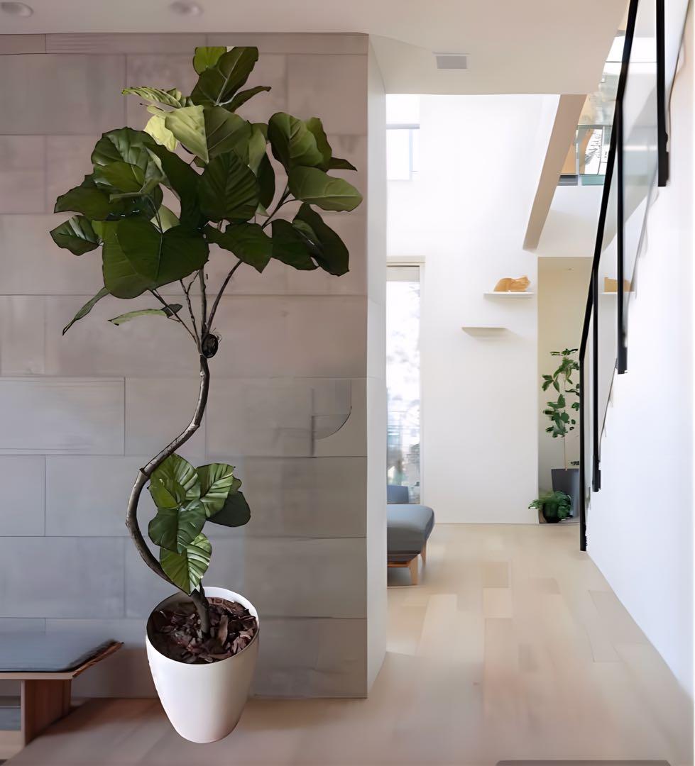 光触媒　人工観葉植物　ウォールグリーン　フェイクグリーン　ウンベラータ166a