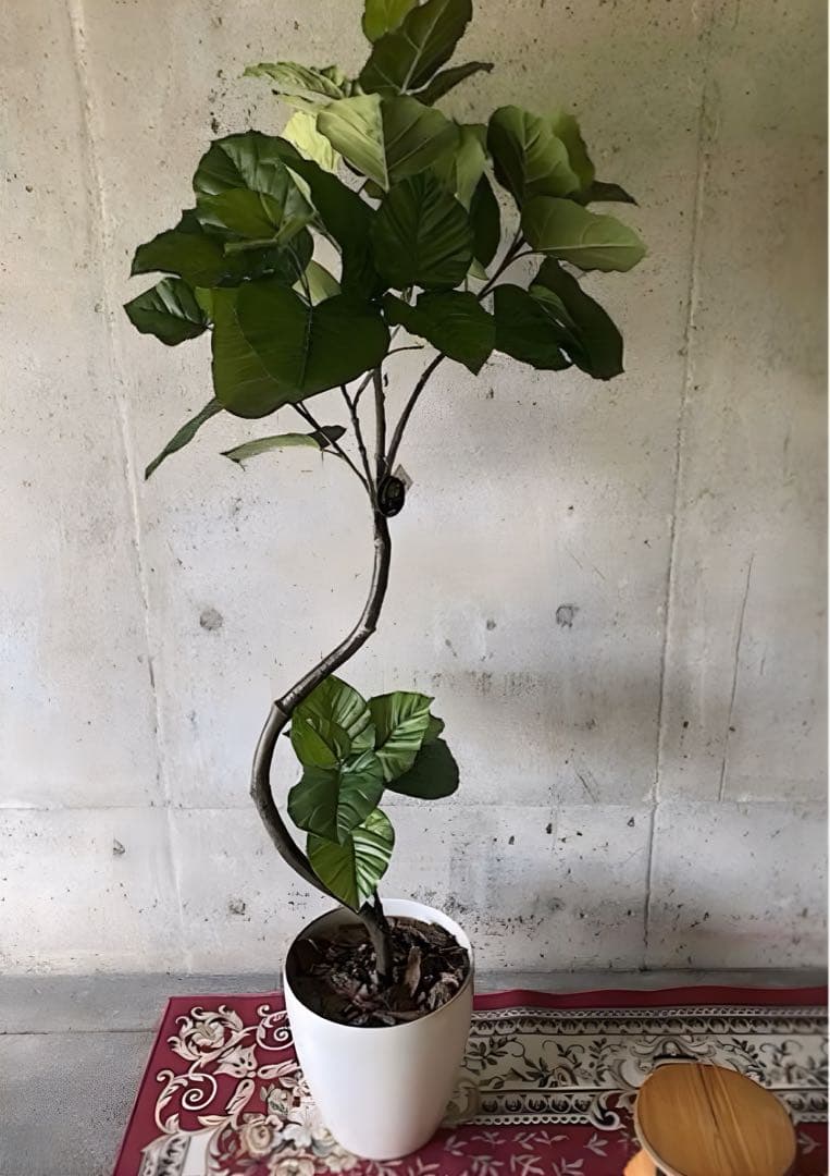 光触媒　人工観葉植物　ウォールグリーン　フェイクグリーン　ウンベラータ166a