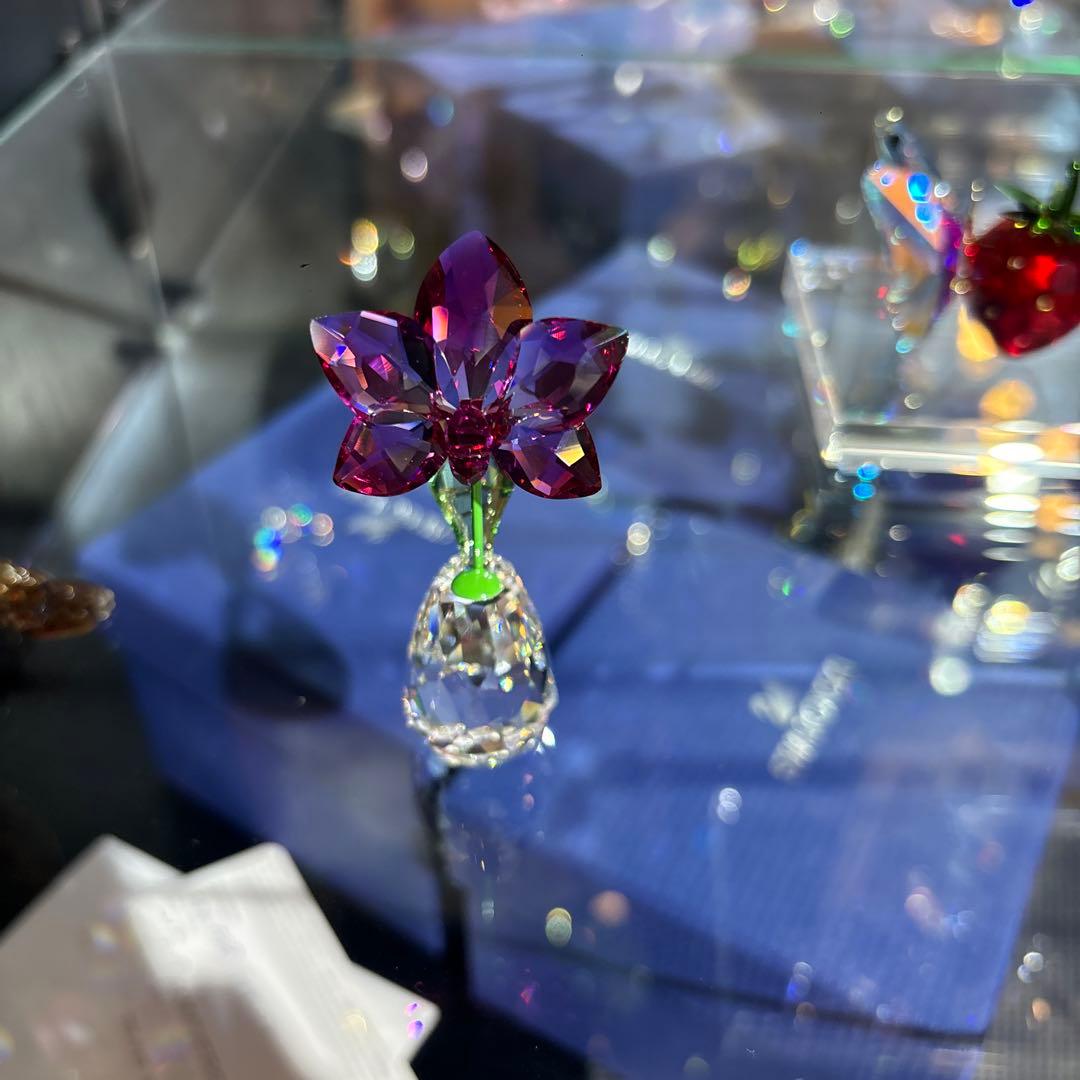 SWAROVSKI スワロフスキー オーキッド ラン 蘭 花 置物