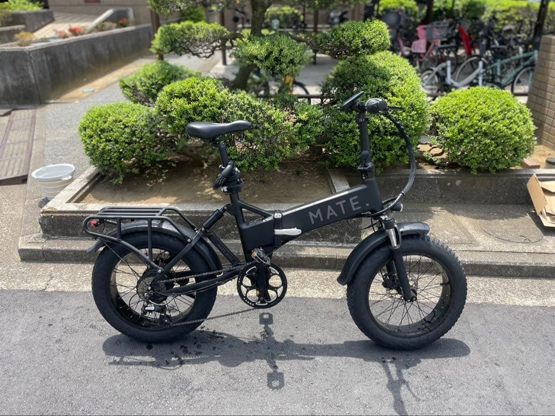 MATE X 250W 電動自転車 ブラック