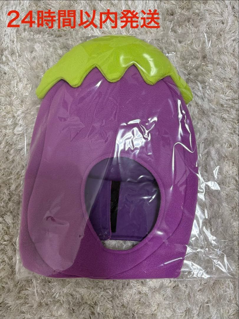本物のナスビの被り物　天竺鼠
