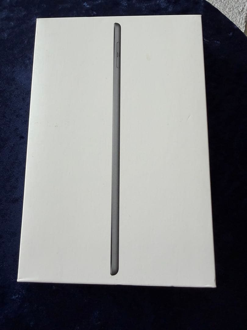 Apple iPadmini5スペースグレー 本体