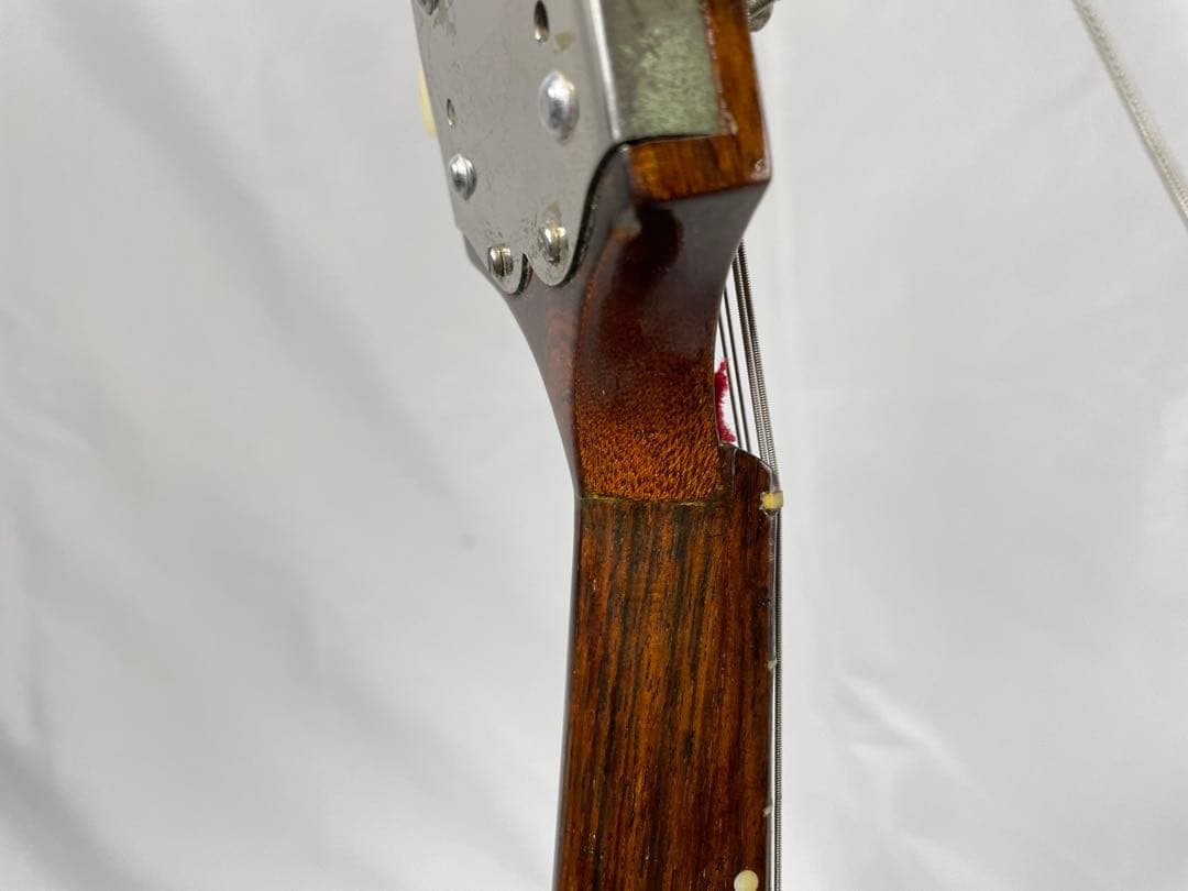 ラファエレ・ カラーチェ マンドリン No.24