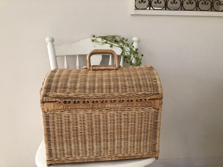 アンティーク　かご　バスケット　ワンちゃんねこちゃんにも