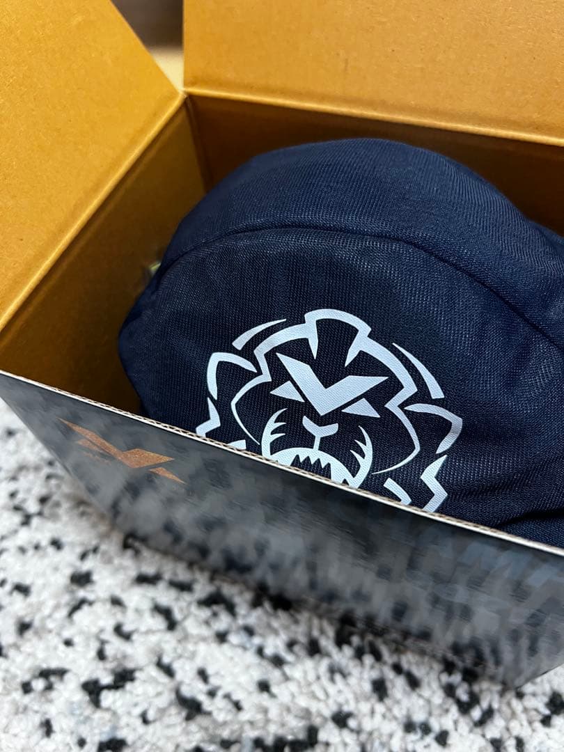 【AnyBuy】美品 1/2 マックス・フェルスタッペン 2022 Wチ