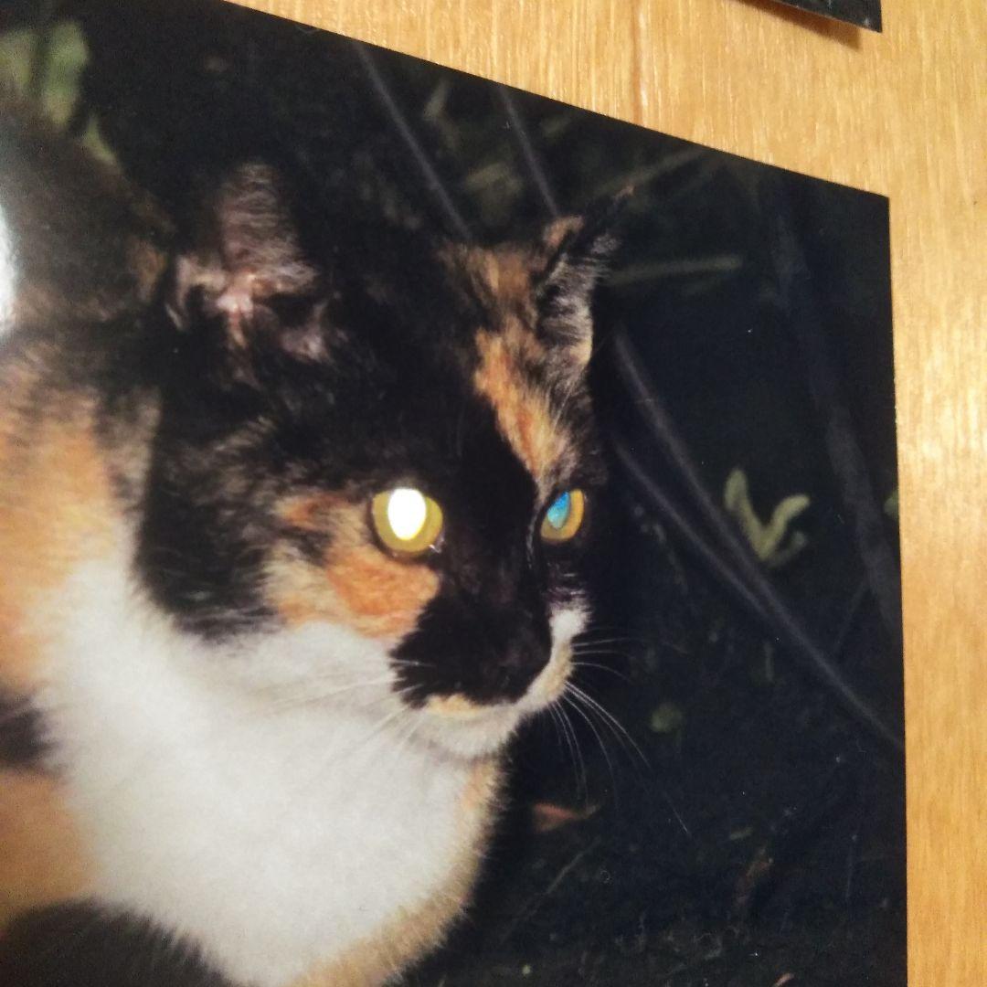 確認画面【幸運】岩手県　緑風荘　写真11枚セット