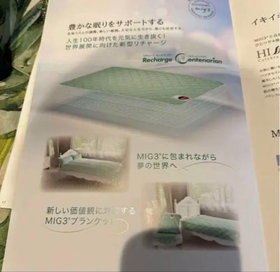 ☆美品☆ インベル アライヴン 敷布団 ブランケット