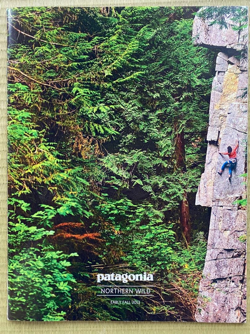 patagonia パタゴニア　廃番　ウィメンズ・ウルトラライト・ダウン・ベスト