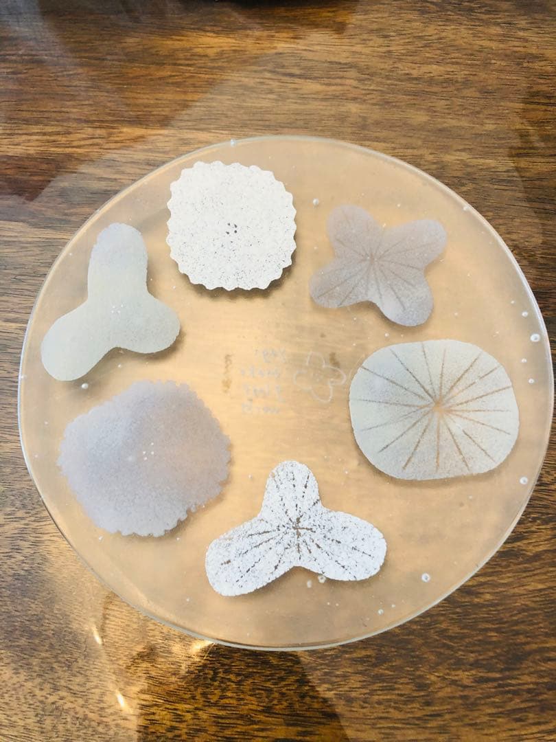 八木麻子さん　ピンク　リース皿