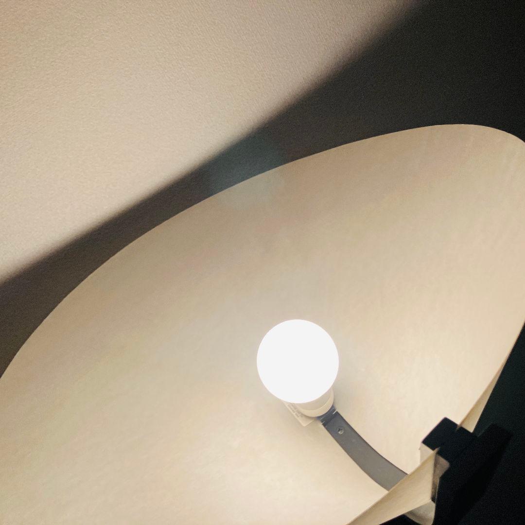 DOMUS ドムス ビンテージ フロアスタンド トールサイズ 185cm