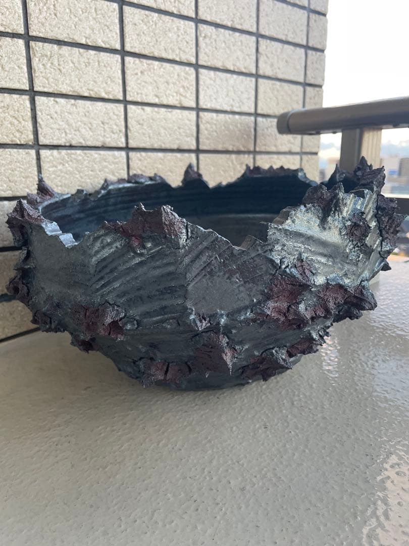 GOAT 鉢　GODZILLA XL検）作家鉢 パキプス グラキリス