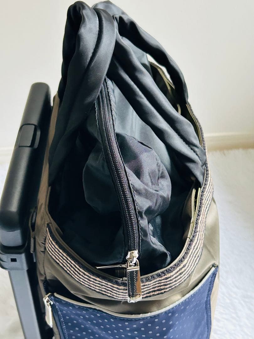 美品⭐︎SWANY キャリーケース　東京デリカ　2way4輪ストッパー機内持ち込み