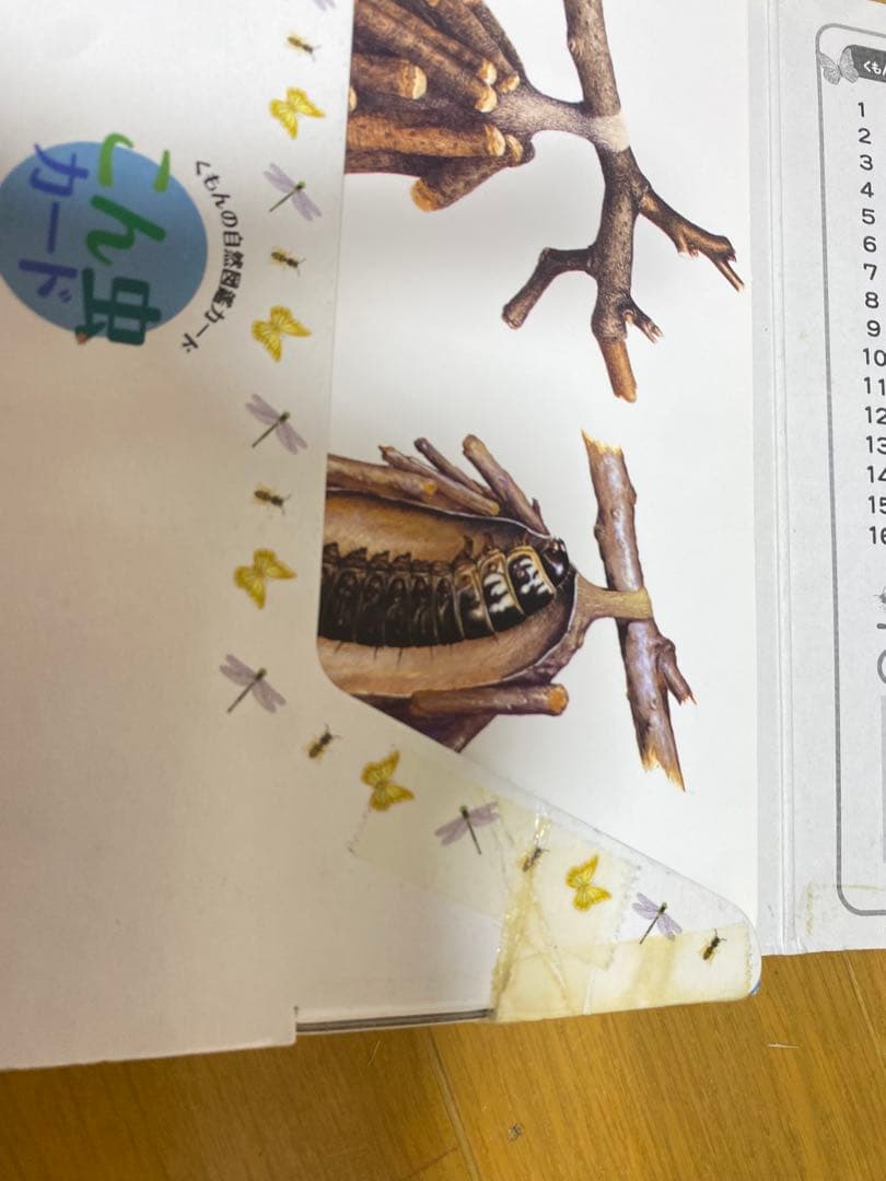 【全カード揃い】くもんの図鑑カード★生活・自然・乗り物・動物まとめ売り