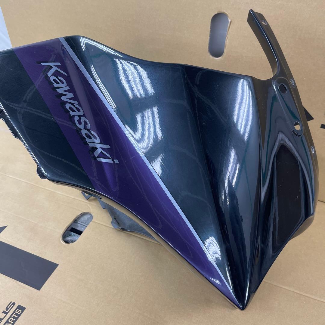 gpz900r ニンジャ　外装　カスタムペイント