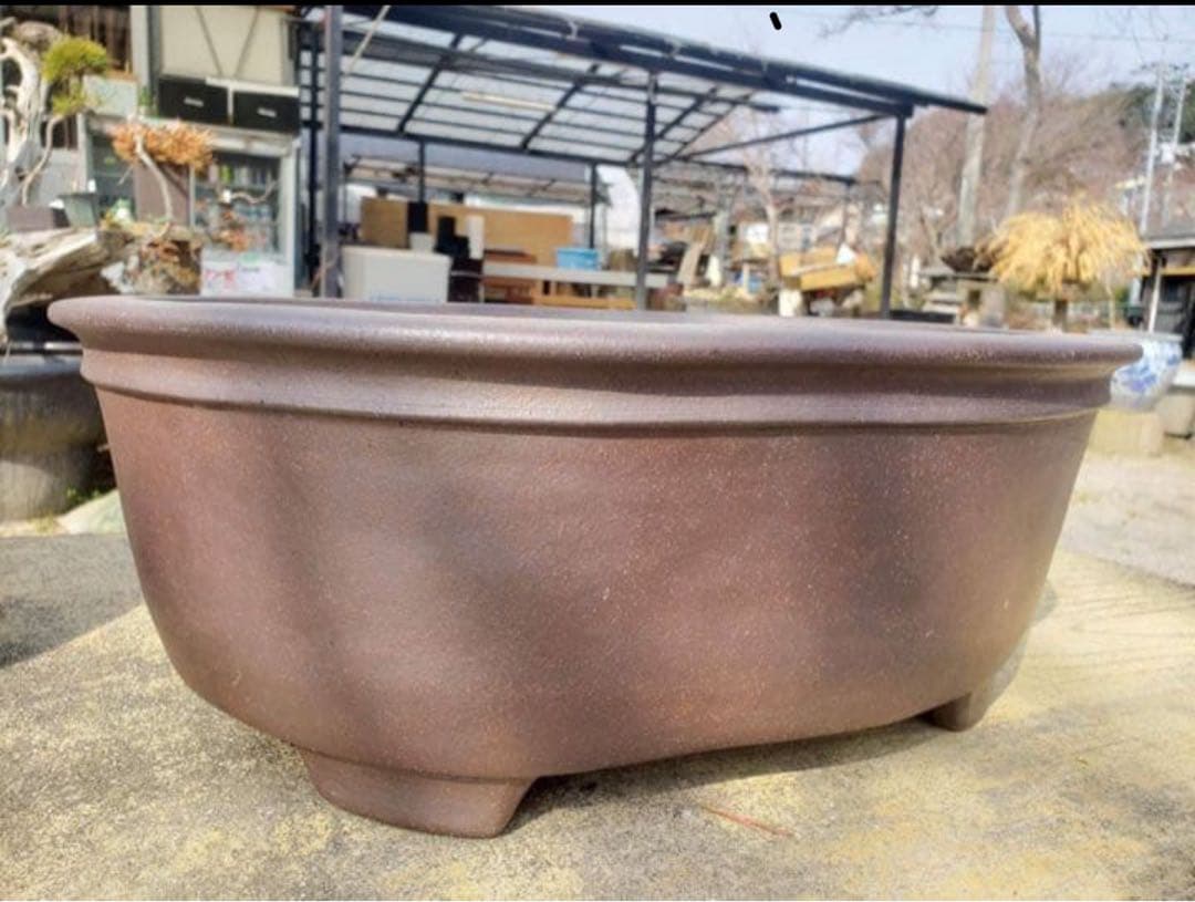 超珍品　メダカ鉢　水盤　中野行山手造り