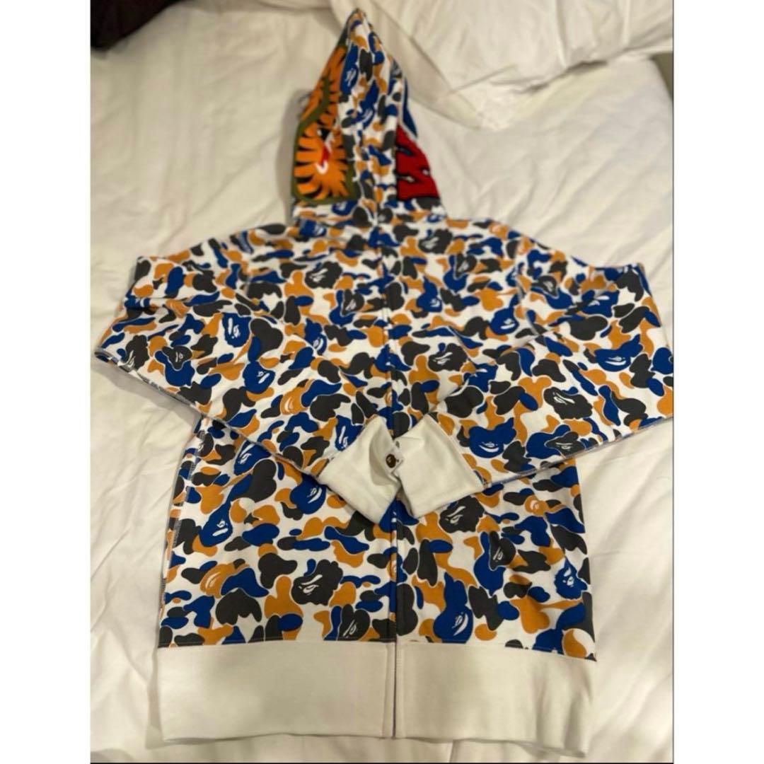shark mania