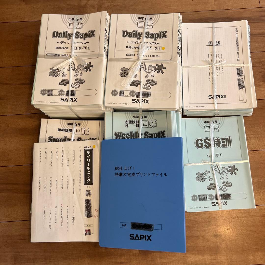 胡珺 ②サピックス6年教材4教科フルセット+大量プリント等