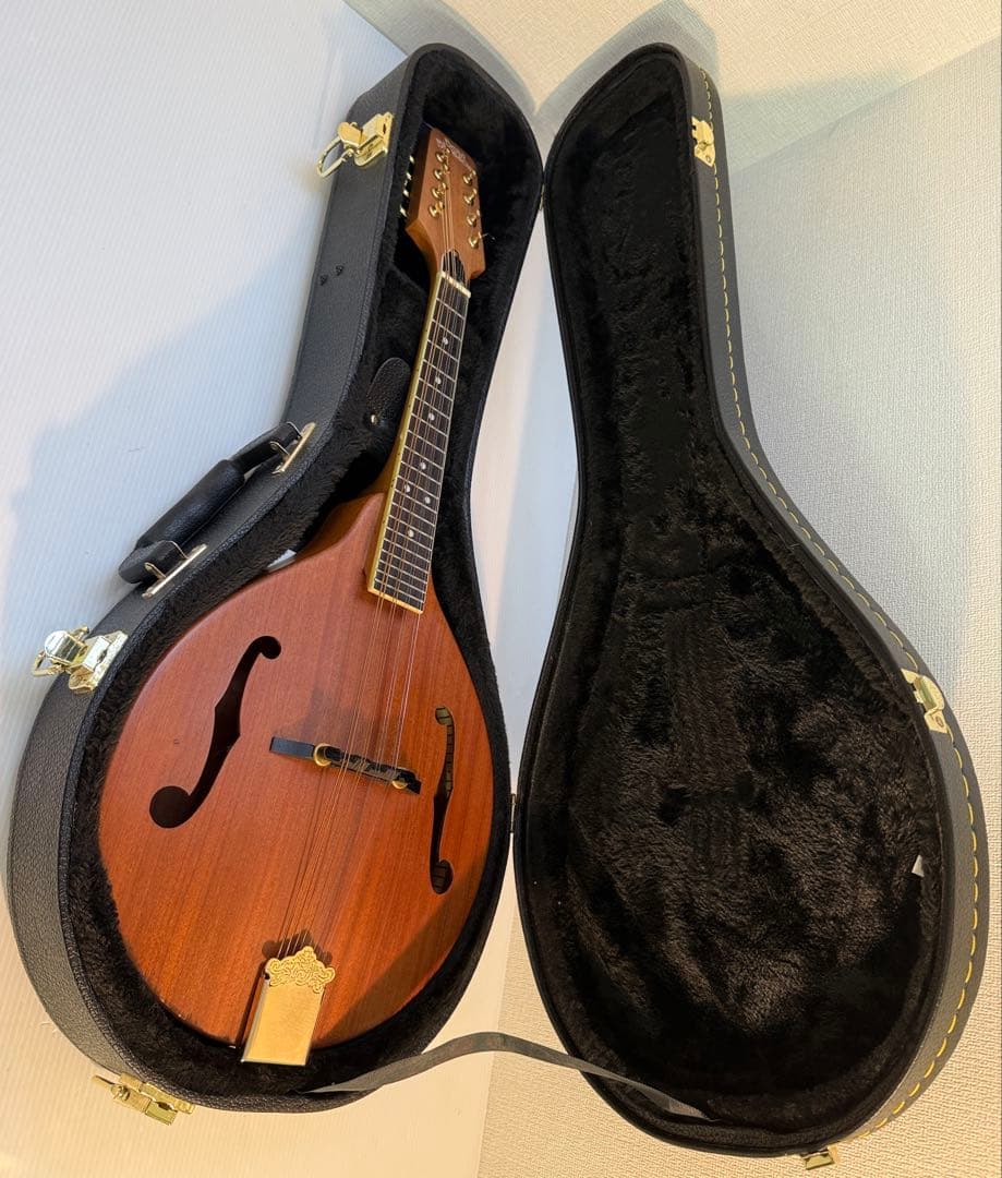 フラットマンドリンBeanBlossom By Morgan Monroe