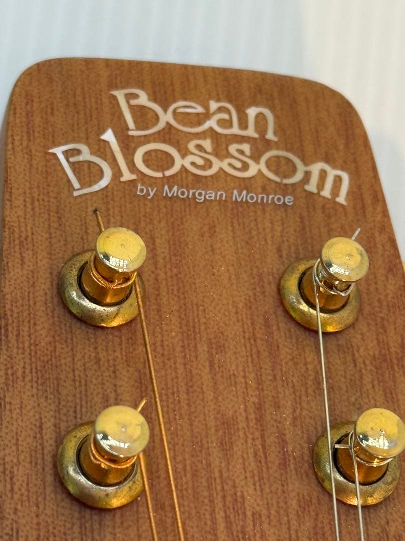 フラットマンドリンBeanBlossom By Morgan Monroe