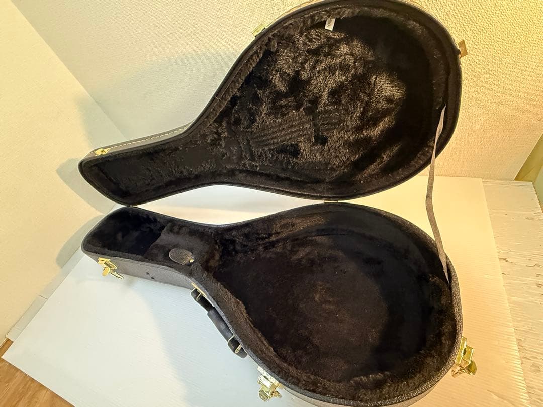 フラットマンドリンBeanBlossom By Morgan Monroe