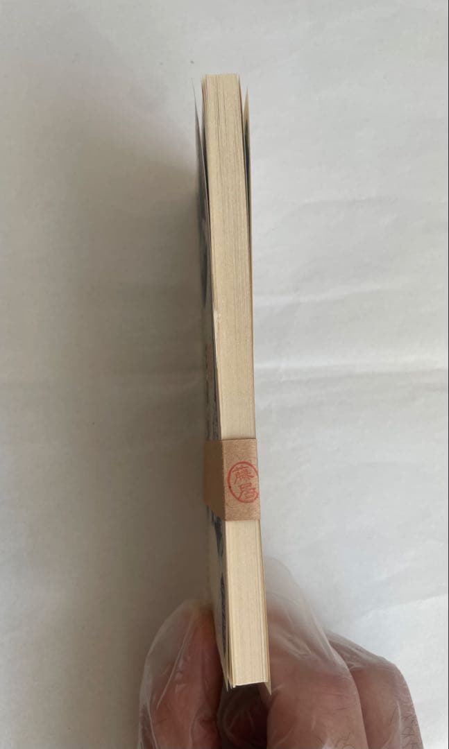 日本銀行 500円紙幣 富士山 100枚連番、ピン札