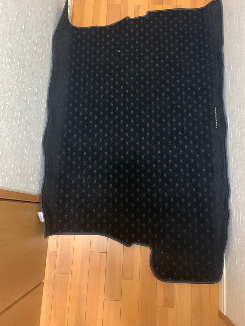 ランドクルーザー250 純正　ラゲッジマット