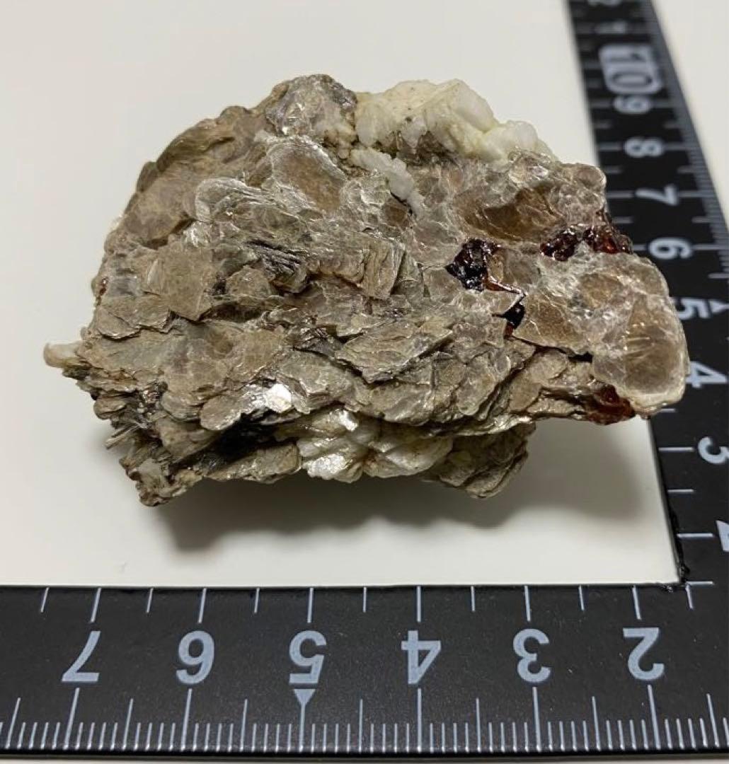 パキスタン産 白雲母上の満礬柘榴石 モスコバイト スペサルティン 外国産鉱物標本